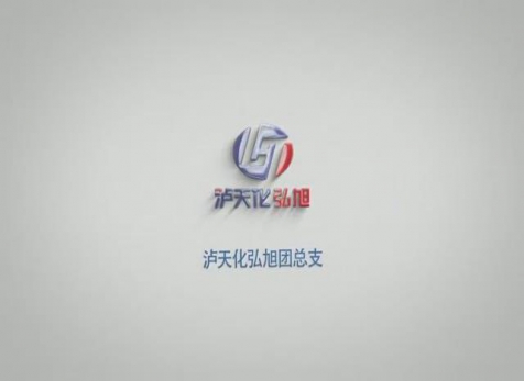 请党放心，强企有我